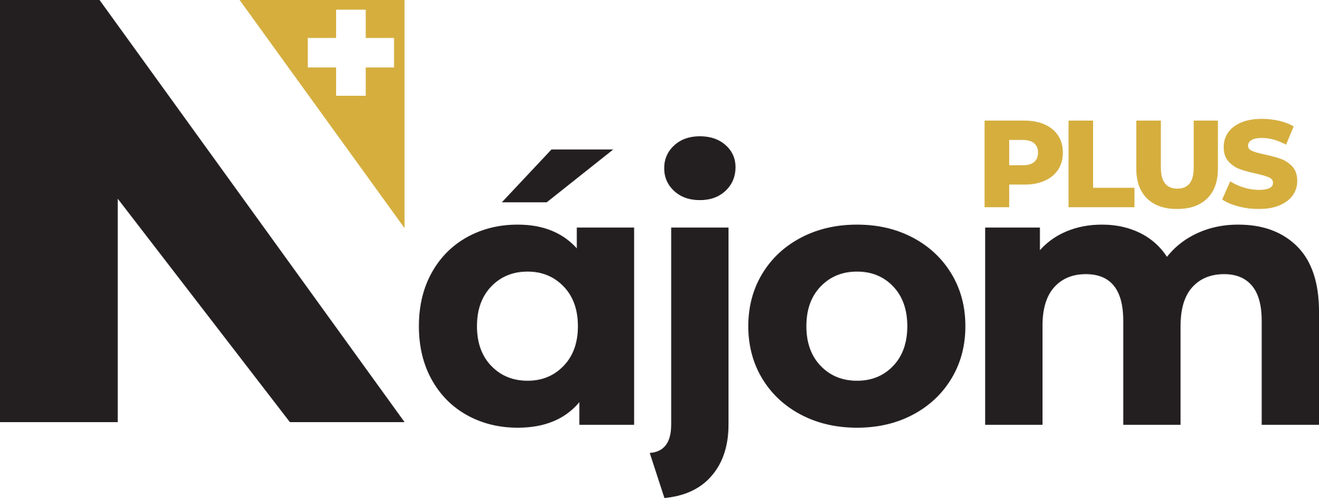 logo-n-plus-a_1