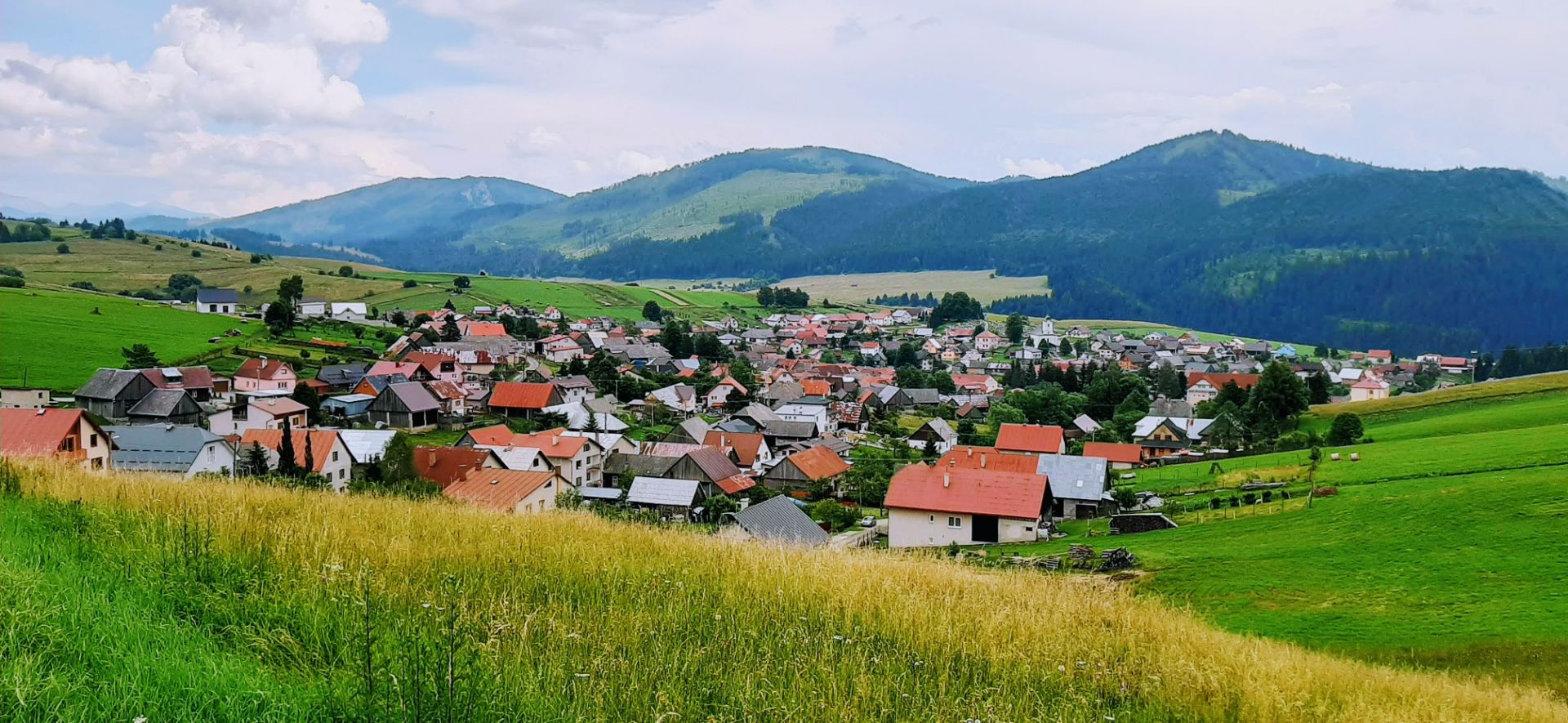 Drevenica Malatiná